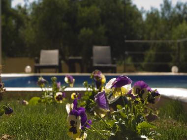 Holiday House in Chania (Chania) or holiday homes and vacation rentals