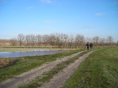 Holiday Apartment in Rovereto s/Secchia (Italy) or holiday homes and vacation rentals