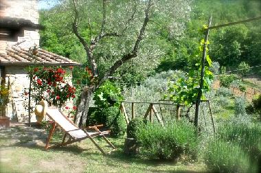 Holiday House in 52031 (Arezzo) or holiday homes and vacation rentals