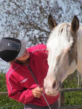 Holiday House in La Motte du Caire (Alpes-de-Haute-Provence) or holiday homes and vacation rentals