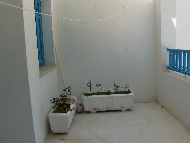 Holiday Apartment in Nabul (Nabul) or holiday homes and vacation rentals
