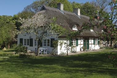 Holiday House in Schaprode (Ostsee-Inseln) or holiday homes and vacation rentals