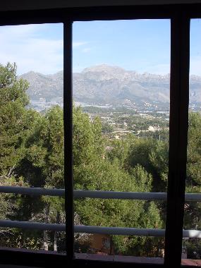  the view from an inside perspective