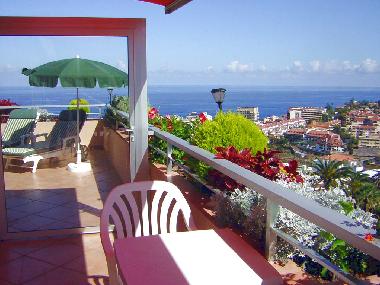 Holiday Apartment in Puerto de la Cruz (Teneriffa) or holiday homes and vacation rentals