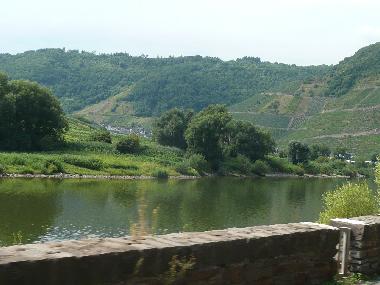 Villa in Weinsheim-Gondelsheim (Eifel - Ahr) or holiday homes and vacation rentals