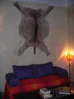 Hotel in Marrakech (Marrakech) or holiday homes and vacation rentals