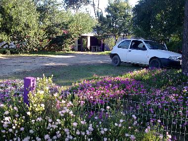 Holiday House in +++ (Rocha) or holiday homes and vacation rentals