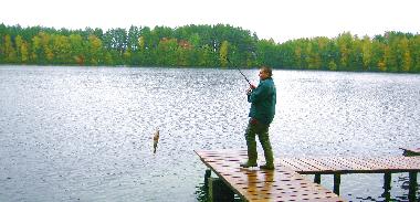 Holiday House in Lipusz (Pomorskie) or holiday homes and vacation rentals