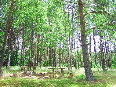 Holiday House in Lipusz (Pomorskie) or holiday homes and vacation rentals