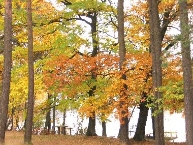 Holiday House in Lipusz (Pomorskie) or holiday homes and vacation rentals