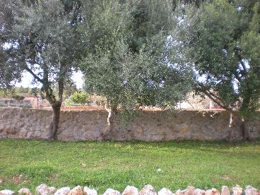 Holiday House in Porreres (Mallorca) or holiday homes and vacation rentals