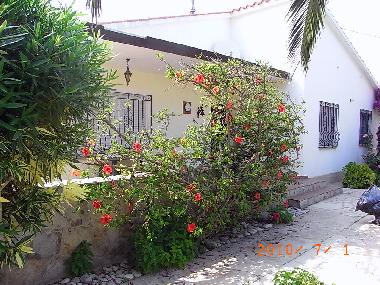 Holiday House in Vinar�s (Castell�n / Castell�) or holiday homes and vacation rentals