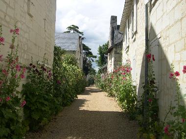 Holiday House in nr Bauge (Maine-et-Loire) or holiday homes and vacation rentals