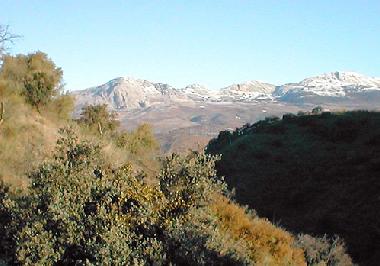 Holiday House in Casabermeja (Mlaga) or holiday homes and vacation rentals