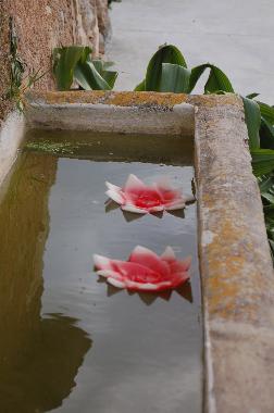 Holiday Apartment in Cas Concos -Felanitx- (Mallorca) or holiday homes and vacation rentals