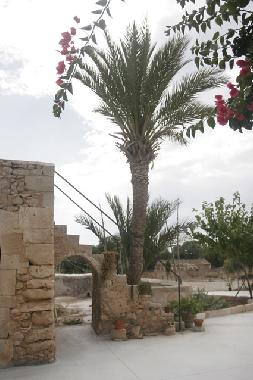 Holiday Apartment in Cas Concos -Felanitx- (Mallorca) or holiday homes and vacation rentals