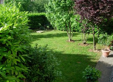 Holiday House in Anghiari (Arezzo) or holiday homes and vacation rentals