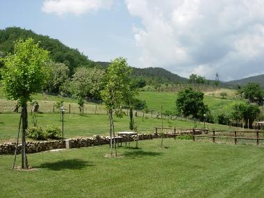 Holiday House in Anghiari (Arezzo) or holiday homes and vacation rentals