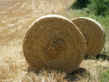 Holiday House in Anghiari (Arezzo) or holiday homes and vacation rentals