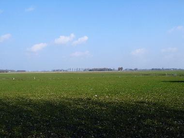 uitzicht het vlakke land naar waddenkust