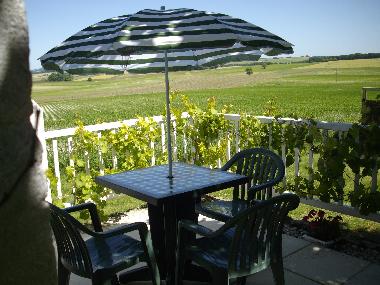 A breekfast terrace with a view- help yourself to the figs and grapes in season