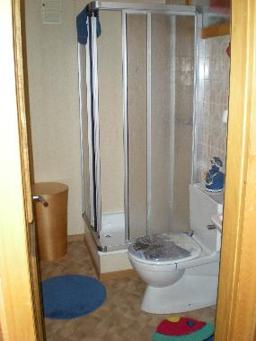 Chalet in Albinen (Leukerbad) or holiday homes and vacation rentals