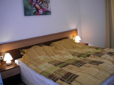 Holiday Apartment in Bansko (Blagoevgrad) or holiday homes and vacation rentals