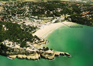 aerial view and localitation