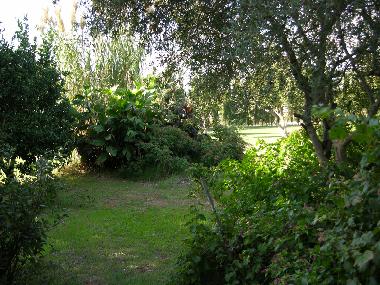 Holiday House in El Colorado (Cdiz) or holiday homes and vacation rentals