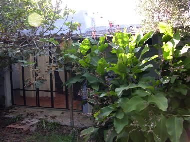 Holiday House in El Colorado (Cdiz) or holiday homes and vacation rentals