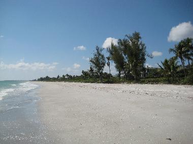 Sanibel island beach