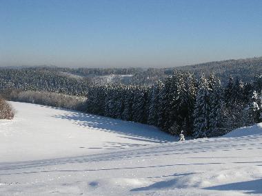 Holiday House in Winterberg (Sauerland) or holiday homes and vacation rentals