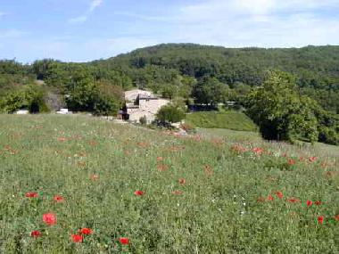 Holiday House in Grane (Dr�me) or holiday homes and vacation rentals