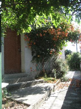 Bed and Breakfast in Biert/ Massat (Ari�ge) or holiday homes and vacation rentals