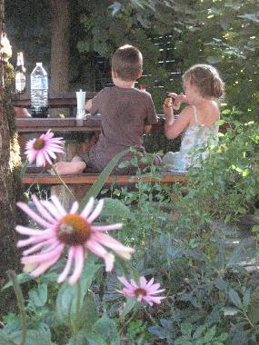 Bed and Breakfast in Biert/ Massat (Ari�ge) or holiday homes and vacation rentals