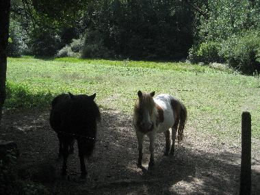 Bed and Breakfast in Biert/ Massat (Ari�ge) or holiday homes and vacation rentals