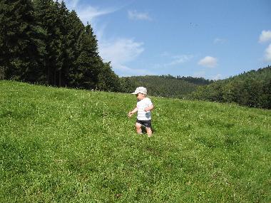 Holiday Apartment in Oberaula-Olberode (Kurhessisches Bergland) or holiday homes and vacation rentals