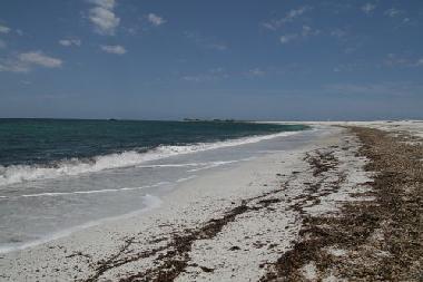Holiday House in Su Pallosu (Oristano) or holiday homes and vacation rentals