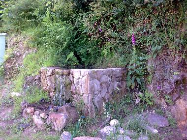 Spring water fountain at garden