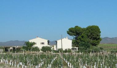 Holiday House in Almendricos (Murcia) or holiday homes and vacation rentals