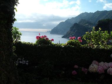 View from the garden