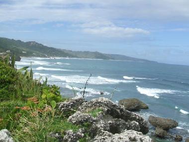 Holiday House in St Peter (Saint Peter) or holiday homes and vacation rentals