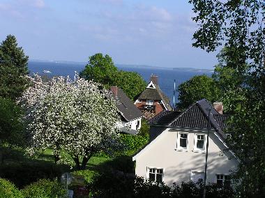 Holiday House in Sierksdorf (Ostsee-Festland) or holiday homes and vacation rentals