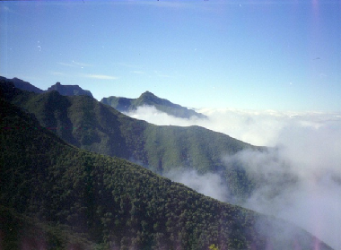 Holiday Apartment in Canico  (Madeira) or holiday homes and vacation rentals