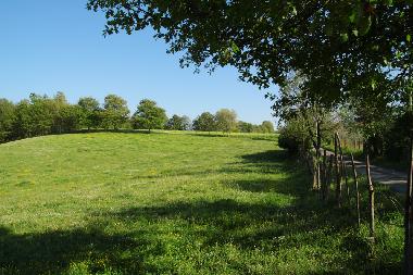 Holiday House in Canale Monterano (Roma) or holiday homes and vacation rentals