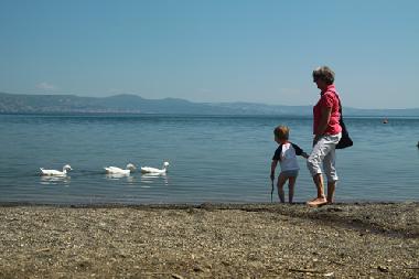 Holiday House in Canale Monterano (Roma) or holiday homes and vacation rentals