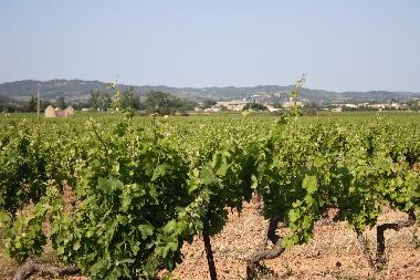 Holiday House in Canet d