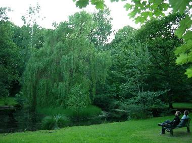 Holiday Apartment in Seebad Breege Juliusruh (Ostsee-Inseln) or holiday homes and vacation rentals