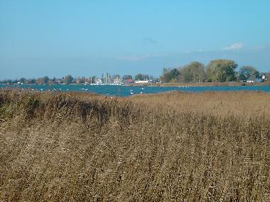 Holiday Apartment in Seebad Breege Juliusruh (Ostsee-Inseln) or holiday homes and vacation rentals