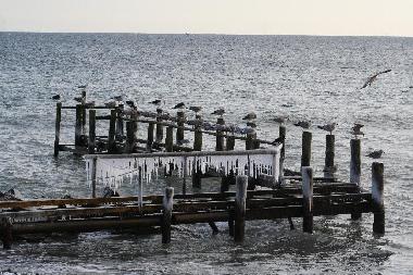 Holiday Apartment in Seebad Breege Juliusruh (Ostsee-Inseln) or holiday homes and vacation rentals